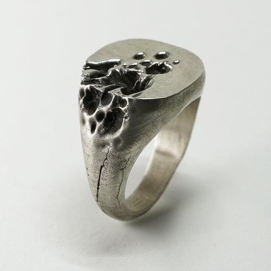 SPLASH RING